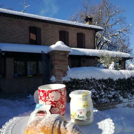Il Castagneto Bed & Breakfast Camerino Bagian luar foto