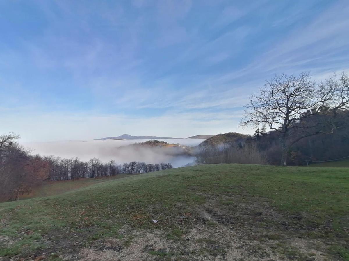 Il Castagneto Bed & Breakfast Camerino Bagian luar foto