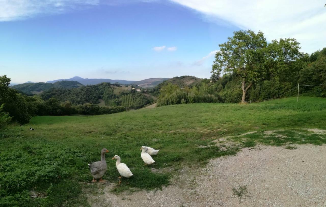Il Castagneto Bed & Breakfast Camerino Bagian luar foto