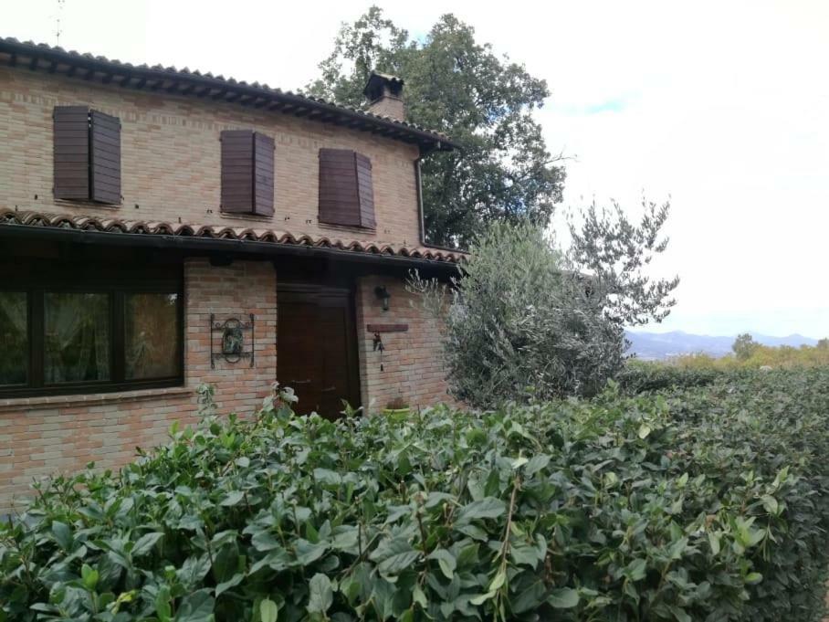 Il Castagneto Bed & Breakfast Camerino Bagian luar foto